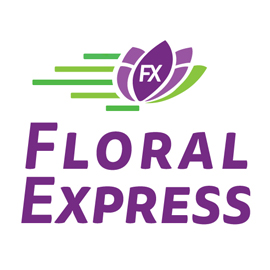 edg, edg flowers, ed dekker, celosia, Fan celosia, round celosia, flower grower ontario canada