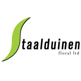 edg, edg flowers, ed dekker, celosia, Fan celosia, round celosia, flower grower ontario canada